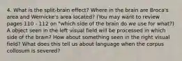 4. What is the split-brain effect? Where in the brain are Broca's area and Wernicke's area located? (You may want to review pages 110 - 112 on "which side of the brain do we use for what?) A object seen in the left visual field will be processed in which side of the brain? How about something seen in the right visual field? What does this tell us about language when the corpus collosum is severed?