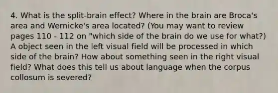 4. What is the split-brain effect? Where in the brain are Broca's area and Wernicke's area located? (You may want to review pages 110 - 112 on "which side of the brain do we use for what?) A object seen in the left visual field will be processed in which side of the brain? How about something seen in the right visual field? What does this tell us about language when the corpus collosum is severed?