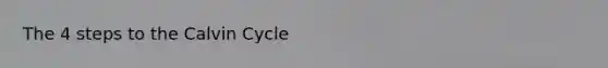 The 4 steps to the Calvin Cycle