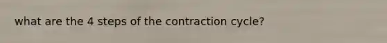 what are the 4 steps of the contraction cycle?