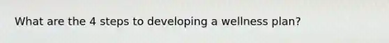 What are the 4 steps to developing a wellness plan?