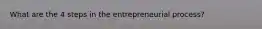 What are the 4 steps in the entrepreneurial process?