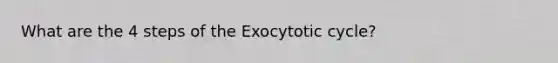 What are the 4 steps of the Exocytotic cycle?