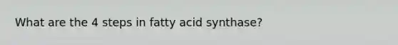 What are the 4 steps in fatty acid synthase?