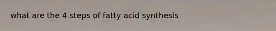 what are the 4 steps of fatty acid synthesis