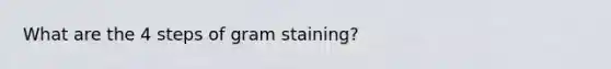 What are the 4 steps of gram staining?