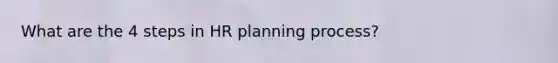 What are the 4 steps in HR planning process?