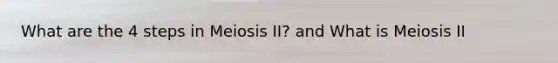 What are the 4 steps in Meiosis II? and What is Meiosis II