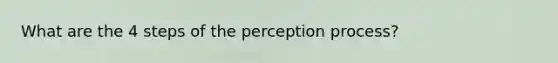 What are the 4 steps of the perception process?