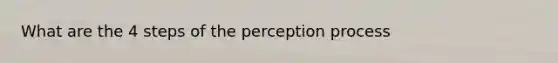 What are the 4 steps of the perception process