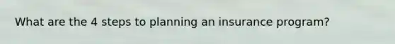 What are the 4 steps to planning an insurance program?