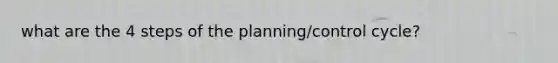 what are the 4 steps of the planning/control cycle?