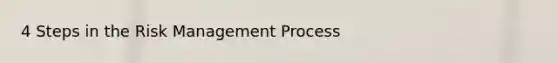 4 Steps in the Risk Management Process