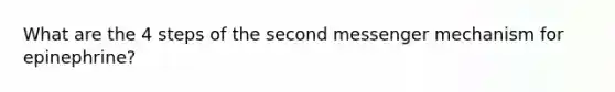 What are the 4 steps of the second messenger mechanism for epinephrine?