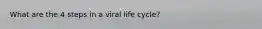 What are the 4 steps in a viral life cycle?