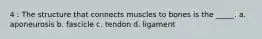 4 : The structure that connects muscles to bones is the _____. a. aponeurosis b. fascicle c. tendon d. ligament