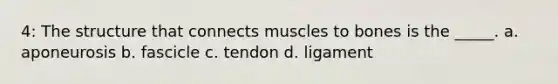 4: The structure that connects muscles to bones is the _____. a. aponeurosis b. fascicle c. tendon d. ligament