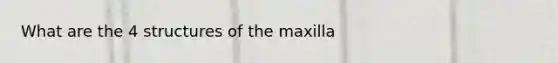 What are the 4 structures of the maxilla