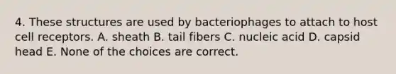 4. These structures are used by bacteriophages to attach to host cell receptors. A. sheath B. tail fibers C. nucleic acid D. capsid head E. None of the choices are correct.