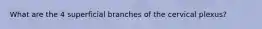 What are the 4 superficial branches of the cervical plexus?