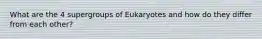 What are the 4 supergroups of Eukaryotes and how do they differ from each other?