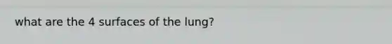 what are the 4 surfaces of the lung?