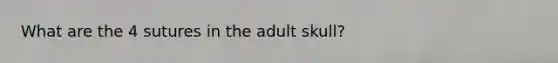 What are the 4 sutures in the adult skull?