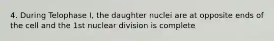 4. During Telophase I, the daughter nuclei are at opposite ends of the cell and the 1st nuclear division is complete