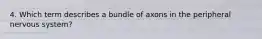 4. Which term describes a bundle of axons in the peripheral nervous system?
