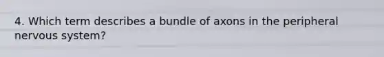 4. Which term describes a bundle of axons in the peripheral nervous system?