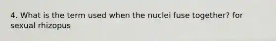 4. What is the term used when the nuclei fuse together? for sexual rhizopus