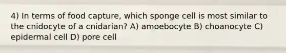 4) In terms of food capture, which sponge cell is most similar to the cnidocyte of a cnidarian? A) amoebocyte B) choanocyte C) epidermal cell D) pore cell