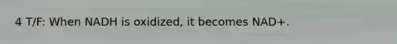 4 T/F: When NADH is oxidized, it becomes NAD+.
