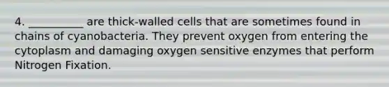 4. __________ are thick-walled cells that are sometimes found in chains of cyanobacteria. They prevent oxygen from entering the cytoplasm and damaging oxygen sensitive enzymes that perform Nitrogen Fixation.