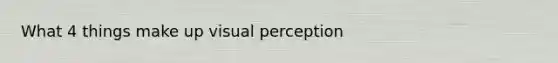 What 4 things make up visual perception