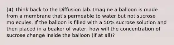 (4) Think back to the Diffusion lab. Imagine a balloon is made from a membrane that's permeable to water but not sucrose molecules. If the balloon is filled with a 50% sucrose solution and then placed in a beaker of water, how will the concentration of sucrose change inside the balloon (if at all)?