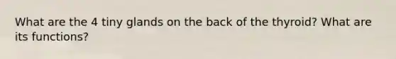 What are the 4 tiny glands on the back of the thyroid? What are its functions?
