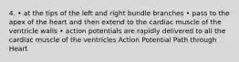 4. • at the tips of the left and right bundle branches • pass to the apex of the heart and then extend to the cardiac muscle of the ventricle walls • action potentials are rapidly delivered to all the cardiac muscle of the ventricles Action Potential Path through Heart