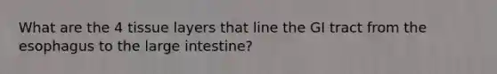 What are the 4 tissue layers that line the GI tract from the esophagus to the large intestine?