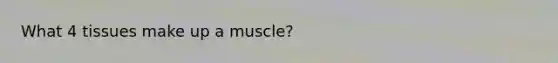 What 4 tissues make up a muscle?