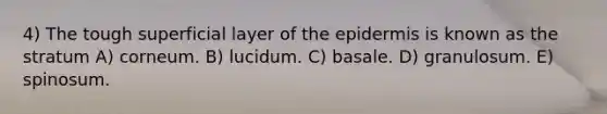 4) The tough superficial layer of the epidermis is known as the stratum A) corneum. B) lucidum. C) basale. D) granulosum. E) spinosum.