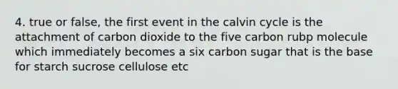 4. true or false, the first event in the calvin cycle is the attachment of carbon dioxide to the five carbon rubp molecule which immediately becomes a six carbon sugar that is the base for starch sucrose cellulose etc