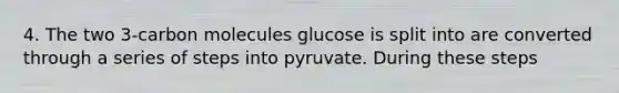 4. The two 3-carbon molecules glucose is split into are converted through a series of steps into pyruvate. During these steps