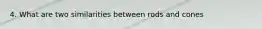 4. What are two similarities between rods and cones