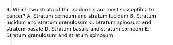 4. Which two strata of the epidermis are most susceptible to cancer? A. Stratum corneum and stratum lucidum B. Stratum lucidum and stratum granulosum C. Stratum spinosum and stratum basale D. Stratum basale and stratum corneum E. Stratum granulosum and stratum spinosum