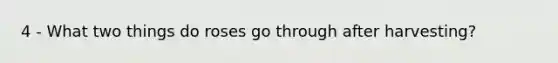 4 - What two things do roses go through after harvesting?