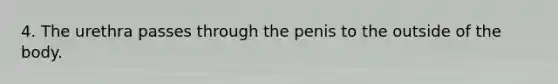 4. The urethra passes through the penis to the outside of the body.