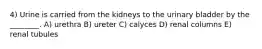 4) Urine is carried from the kidneys to the urinary bladder by the ________. A) urethra B) ureter C) calyces D) renal columns E) renal tubules