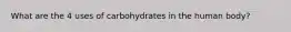 What are the 4 uses of carbohydrates in the human body?