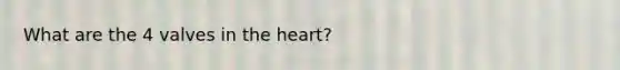 What are the 4 valves in the heart?